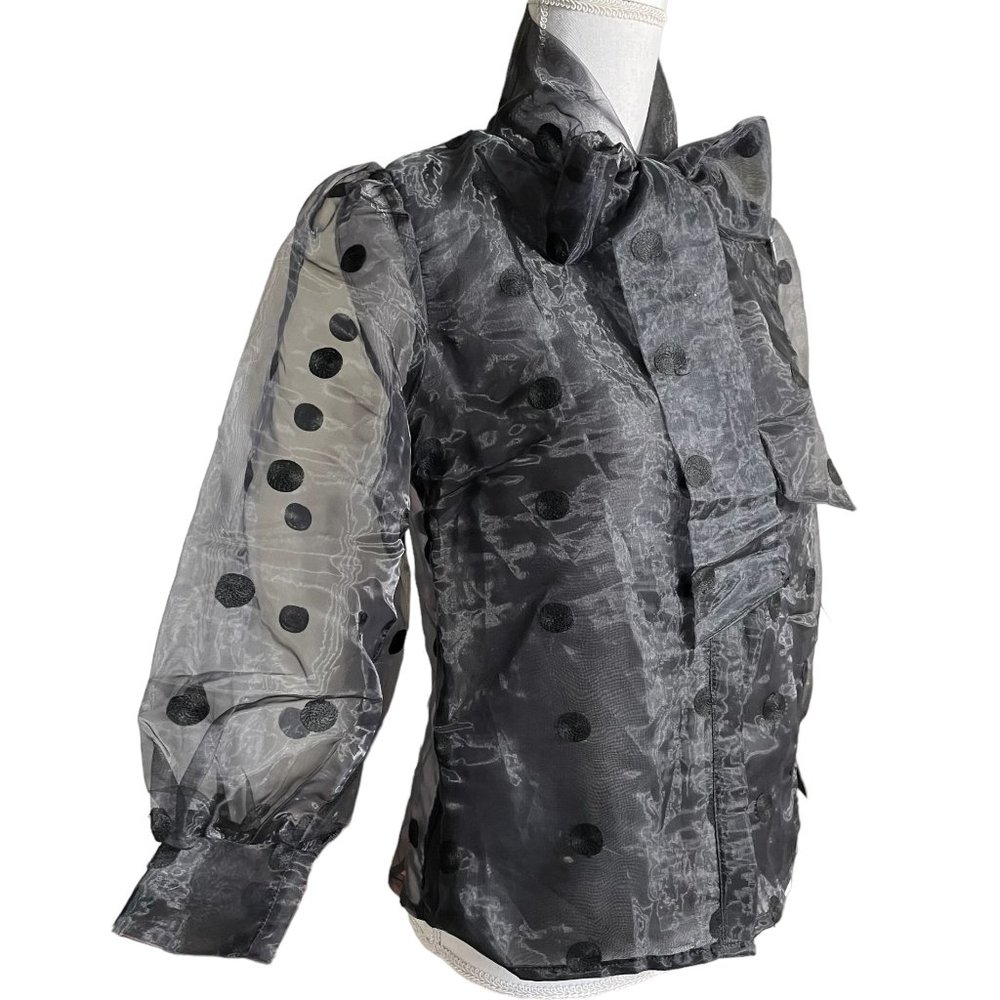 Forever 21 Black Sheer Polka Dot Organza Blouse